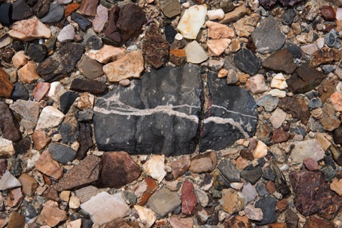 Desert Floor, Death Valley National Park, California (9772 SA).jpg